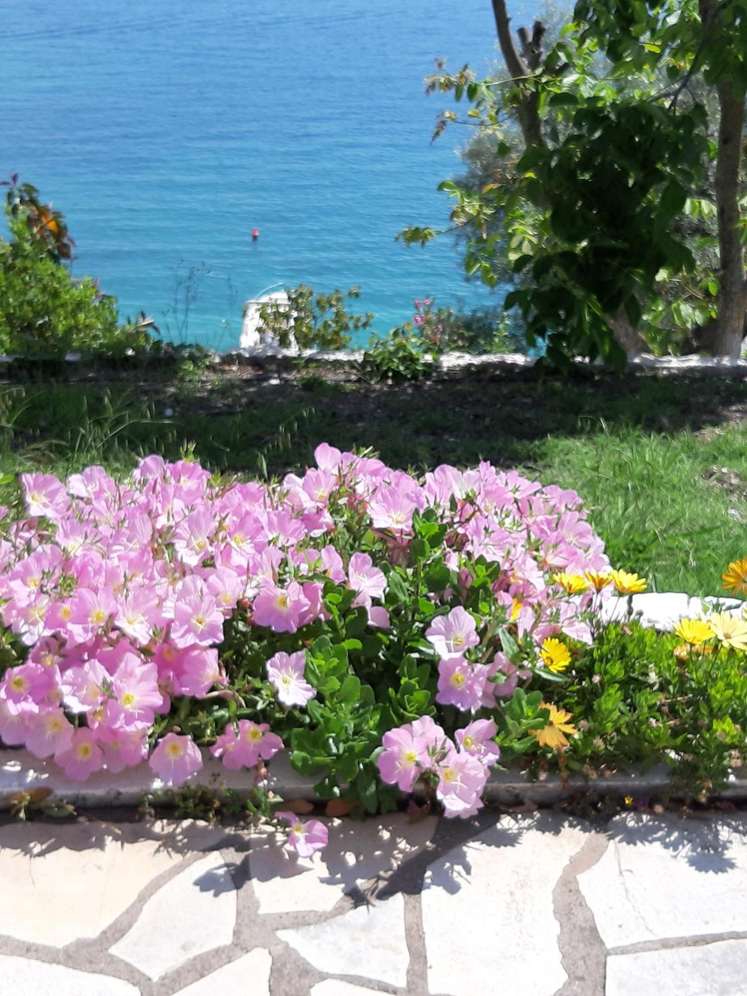 Korakias Seaview Villa Yénion Екстериор снимка