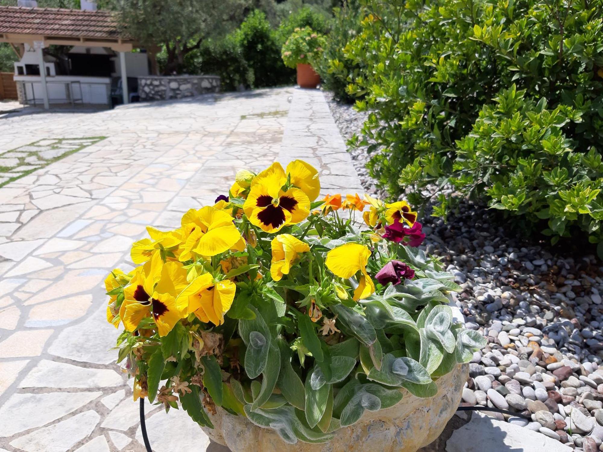 Korakias Seaview Villa Yénion Екстериор снимка